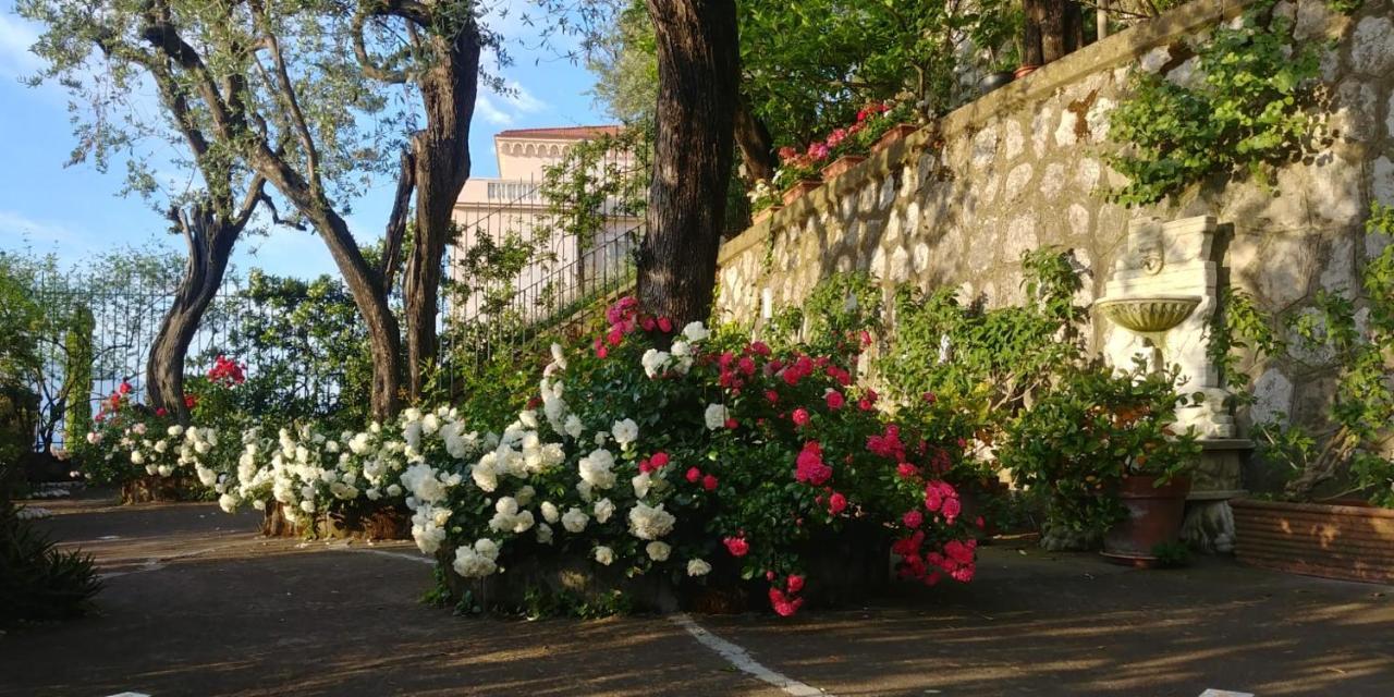 Villa L'Ulivina Sorrento Exterior foto