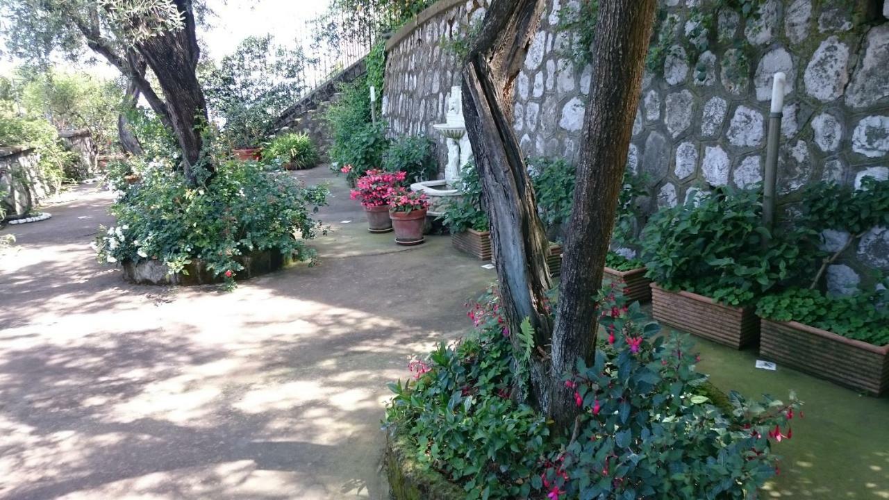 Villa L'Ulivina Sorrento Exterior foto