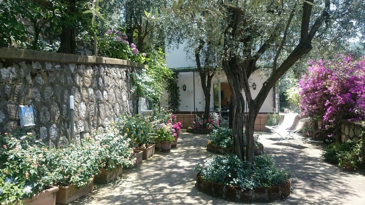 Villa L'Ulivina Sorrento Exterior foto